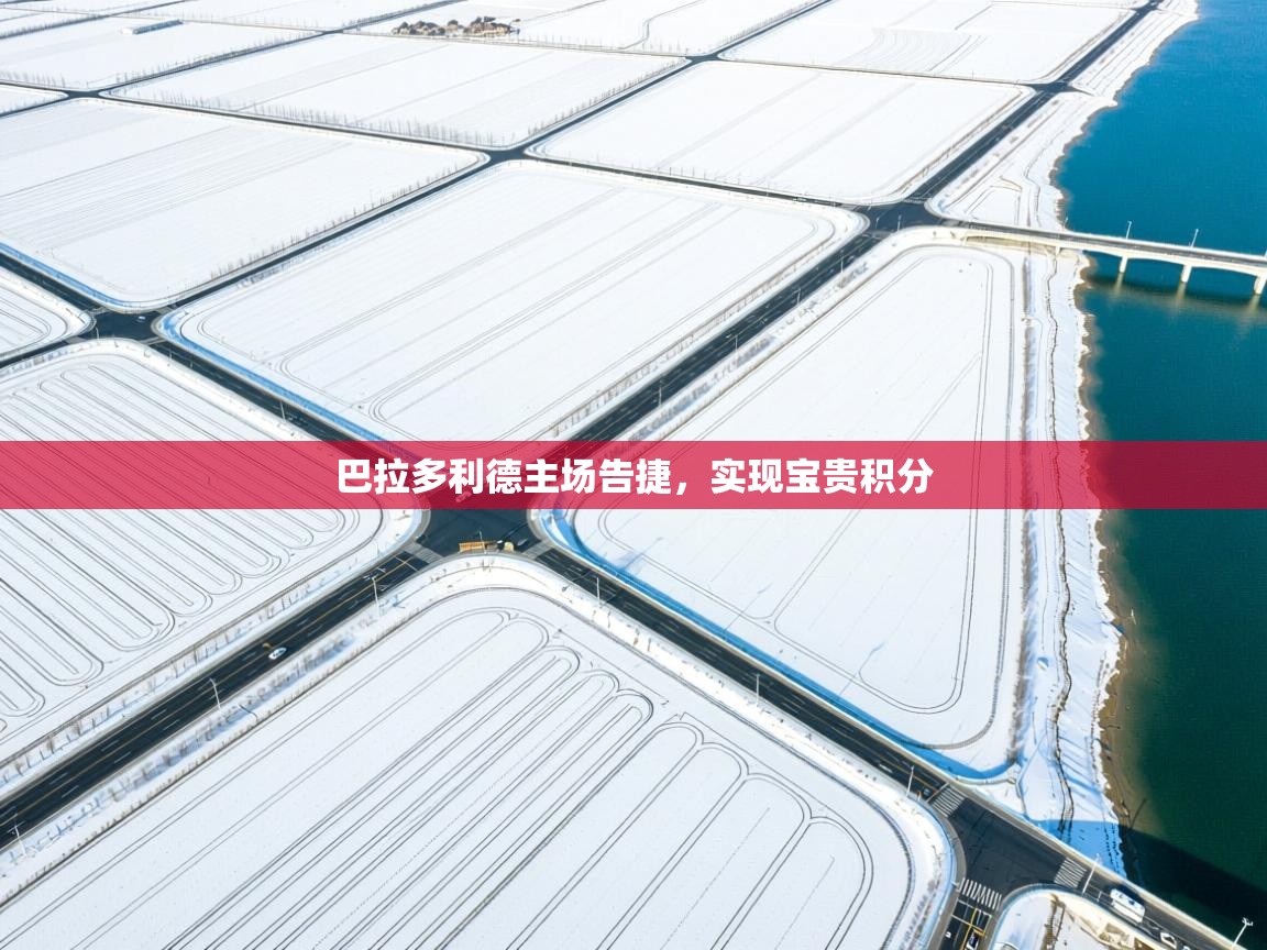 开云体育app下载地址-巴拉多利德主场告捷，实现宝贵积分  第2张